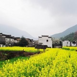 小镇春游 最佳情侣档