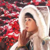 甄嬛传看职场起伏（二）