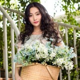 我是梦中传彩笔 只书花叶寄朝云