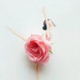 花花心事 自然灵秀