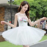 欢呼吧，美裙