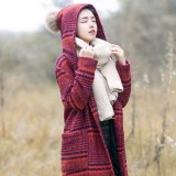 此情可待成追忆