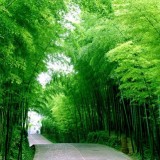 风景如画，美丽如衣