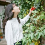 烂漫的时光总是恼人的短暂