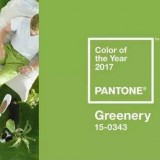 2017春夏流行绿色，怎么选才合适