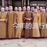 今年流行的袈裟色，你们入手了吗